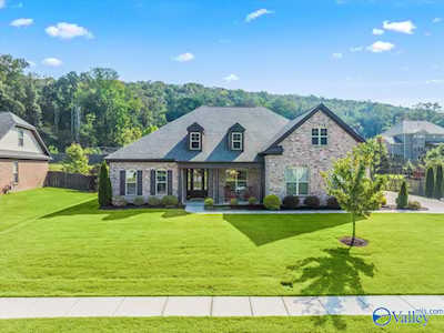 7008 SE Jane Elizabeth Drive Owens Cross Roads, AL 35763