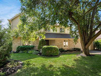 7788 Seddon Drive Dublin, OH 43016