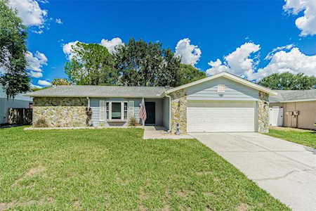 12807 Tallowood Dr Riverview, FL 33579