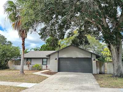 1431 Noell Blvd Palm Harbor, FL 34683