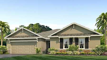 33975 Soaring Bamboo PATH Wesley Chapel, FL 33543