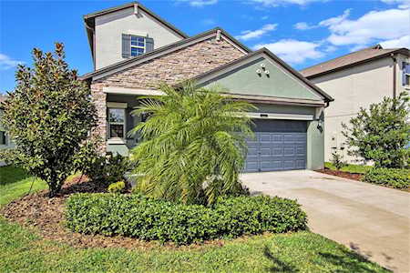 8862 Flourish Dr Land O Lakes, FL 34637