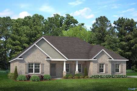 214 M.B. Ayers Way New Market, AL 35761