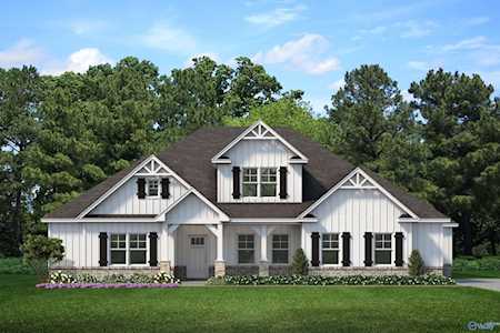 217 M.B. Ayers Way New Market, AL 35761