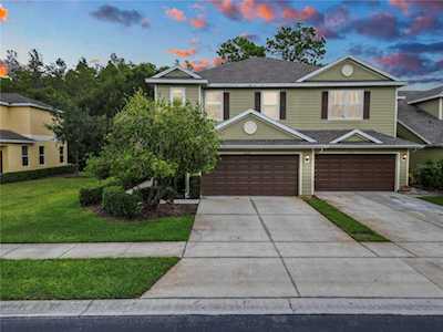 20217 Indian Rosewood Dr Tampa, FL 33647