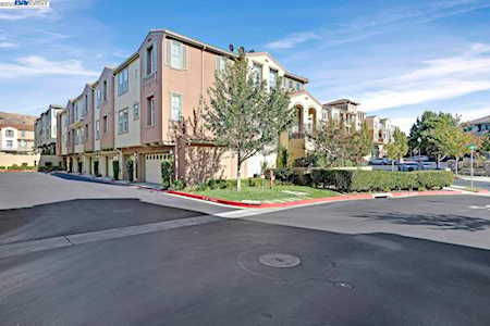 264 Fountain Grass Ter Fremont, CA 94539