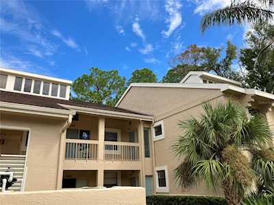 138 Lindsay Ln #48 Oldsmar, FL 34677