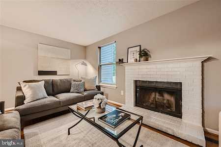 8015 Green Tree Ct Elkridge, MD 21075