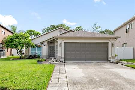 1623 Gray Bark Dr Oldsmar, FL 34677