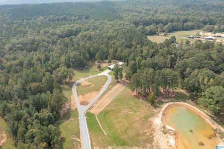 21116 Highway 55 Sterrett, AL 35147