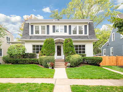 1028 S Greenwood Ave Park Ridge, IL 60068