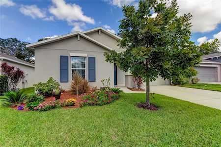 10238 Strawberry Tetra Dr Riverview, FL 33578