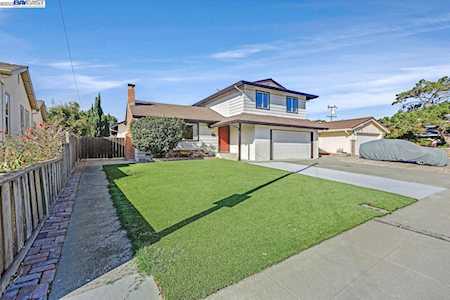 48373 Conifer Fremont, CA 94539