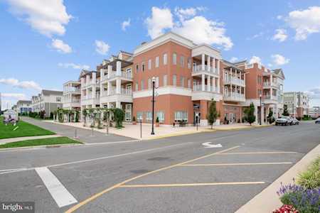 12001 Old Vine Blvd #3E305 Lewes, DE 19958