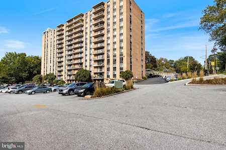 801 Yale Ave #1101 Swarthmore, PA 19081