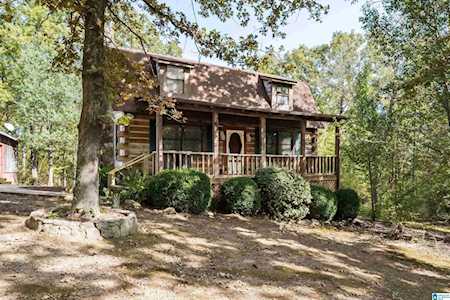 82 Blackberry Lane Wilsonville, AL 35186