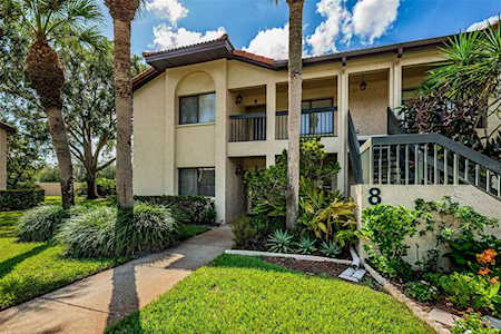 1801 E Lake Rd #8A Palm Harbor, FL 34685