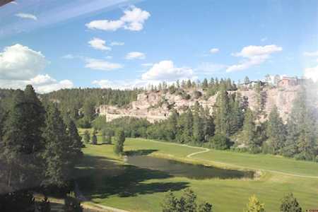 314 Tamarron Drive Durango, CO 81301