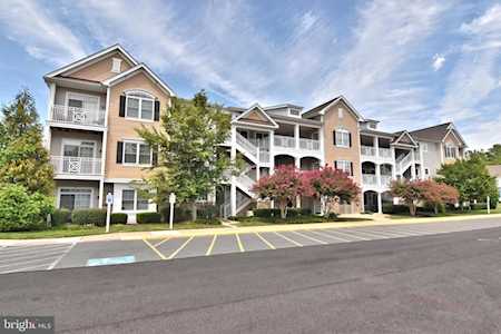 19688 Chelmer Dr #16 Rehoboth Beach, DE 19971