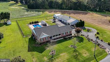 17412 Apple Tree Rd Bridgeville, DE 19933
