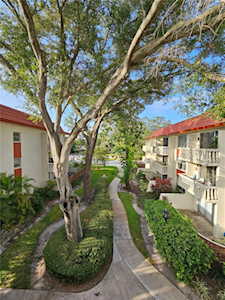 1001 Pearce Dr #306 Clearwater, FL 33764
