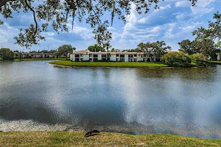 222 Nina WAY #222 Oldsmar, FL 34677