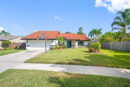 2171 Vance Ave Palm Harbor, FL 34683