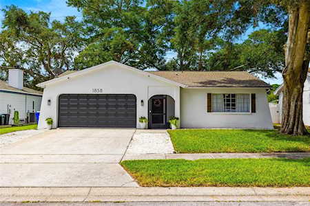 1858 Citrus Hill Ln Palm Harbor, FL 34683