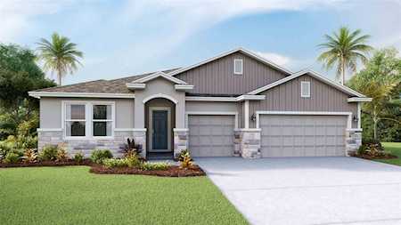 23207 Scaglione Dr Lutz, FL 33549