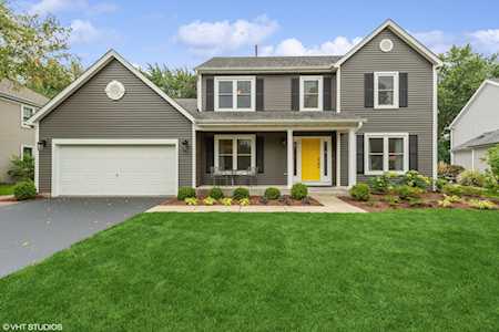 875 Blue Mesa Trl Cary, IL 60013