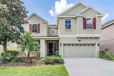 19240 Early Violet Dr Tampa, FL 33647