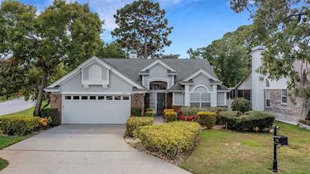 2182 Trevor Rd Palm Harbor, FL 34683