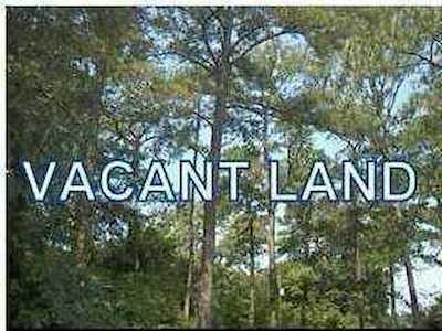 0 Gadsden Loop Interior Parcel Loop Walterboro, SC 29488