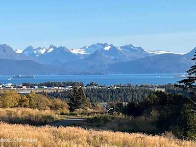 750 Sanjay Ct Homer, AK 99603