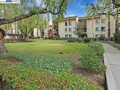 39931 Cedar Blvd #201 Newark, CA 94560