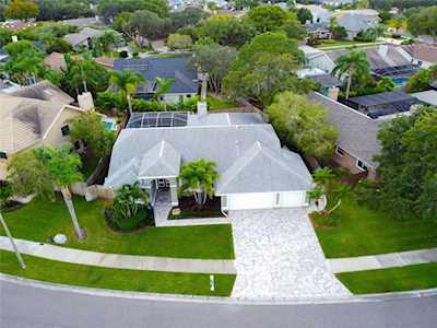 1205 Huntington Ln Safety Harbor, FL 34695