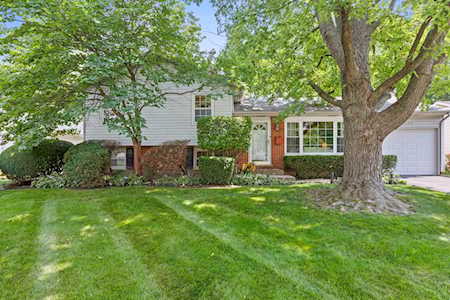 1537 N Patton Ave Arlington Heights, IL 60004