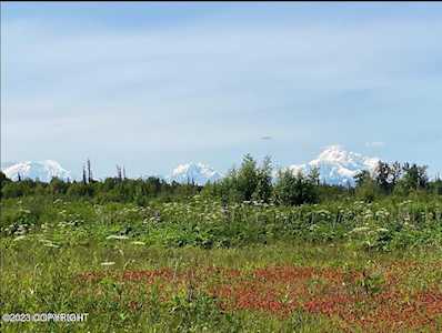 9783 E Two Block Rd Trapper Creek, AK 99683