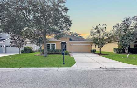 11248 Belle Haven Dr New Port Richey, FL 34654