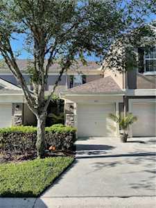 11110 Windsor Place CIRCLE Tampa, FL 33626