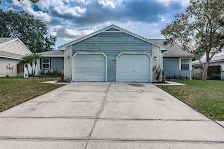 3236 Latana Dr Palm Harbor, FL 34684
