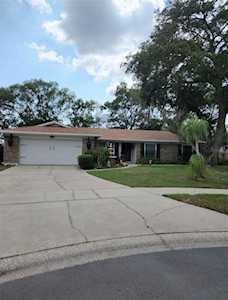 15316 Stonecreek Ln Tampa, FL 33613