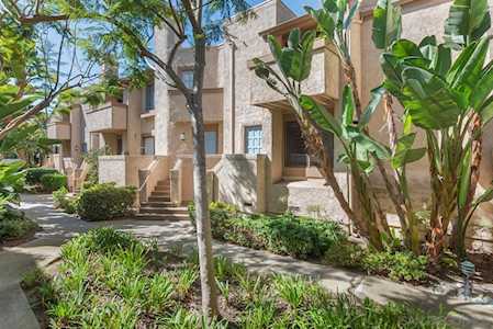 3290 Via Marin #56 La Jolla, CA 92037