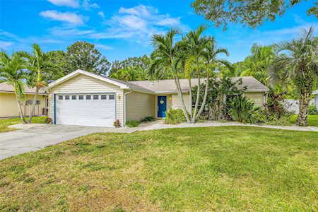 271 Sweetgum Ct Palm Harbor, FL 34683