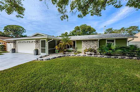185 Forest Grove Blvd Palm Harbor, FL 34683