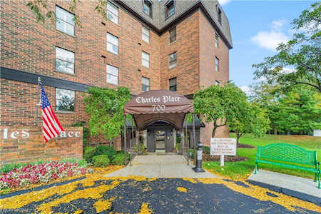 700 Brick Mill Run #308 Westlake, OH 44145