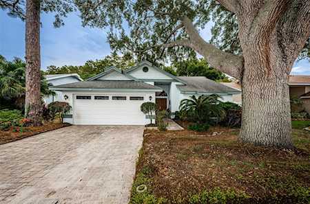 1715 Polo Club Dr Tarpon Springs, FL 34689