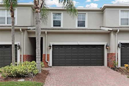 1426 Hillview Ln Tarpon Springs, FL 34689