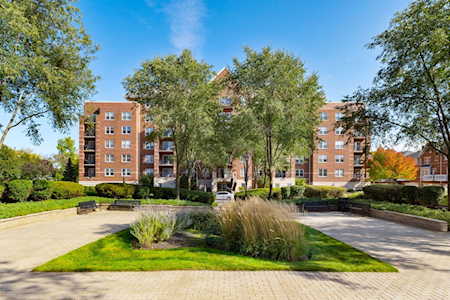 410 W Mahogany Ct #608 Palatine, IL 60067
