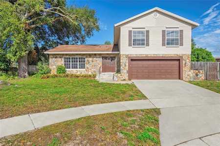 2261 E Greenhollow Dr Palm Harbor, FL 34683